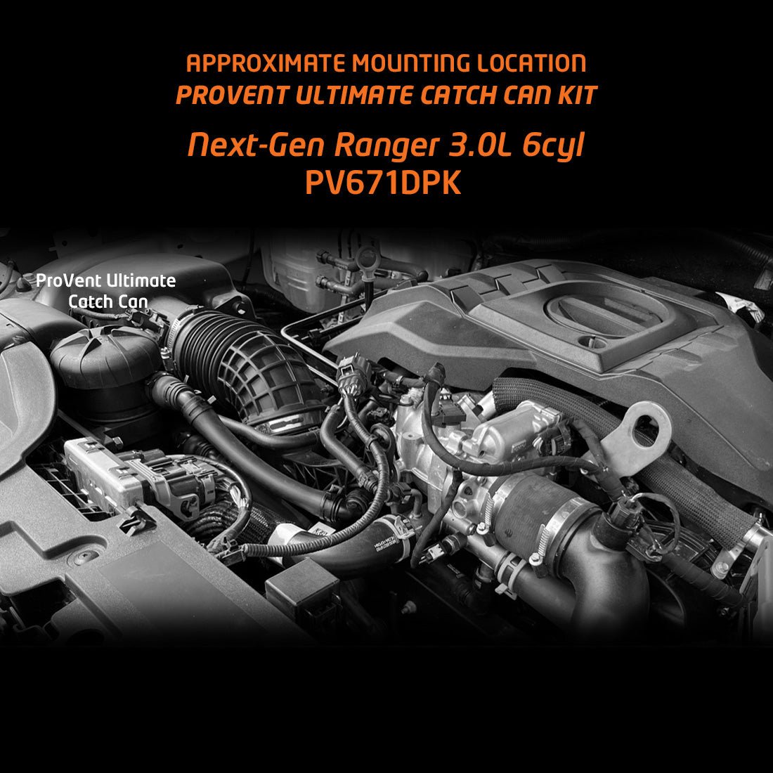 V6 Catch Can Kit on the Next Gen Ford Ranger & Everest, close-up detail