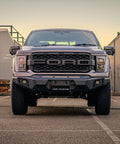 VIKOR Diablo no loop bull bar Ford F-150 front view